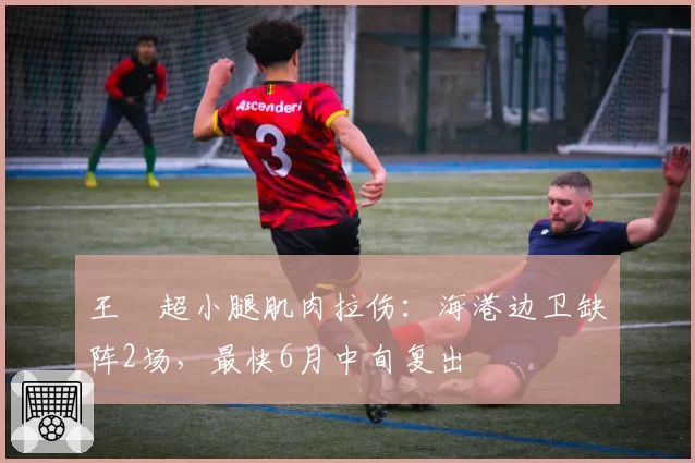 王燊超小腿肌肉拉伤：海港边卫缺阵2场，最快6月中旬复出