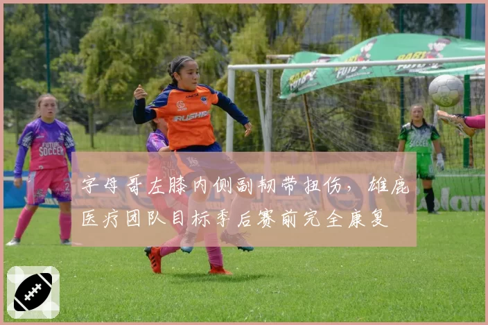 字母哥左膝内侧副韧带扭伤,雄鹿医疗团队目标季后赛前完全康复