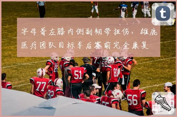 字母哥左膝内侧副韧带扭伤,雄鹿医疗团队目标季后赛前完全康复