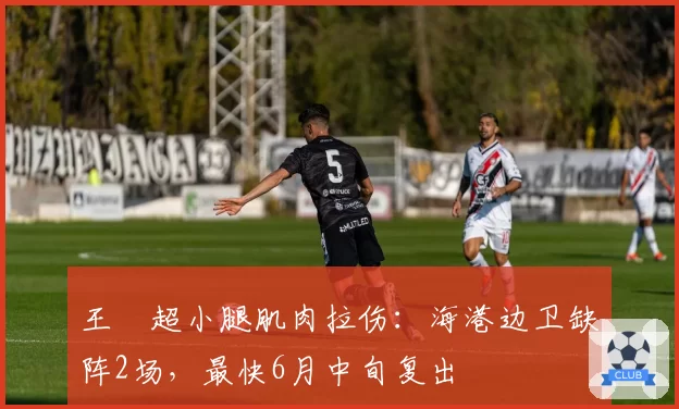 王燊超小腿肌肉拉伤：海港边卫缺阵2场，最快6月中旬复出